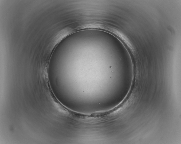 X0000111871241200907231506