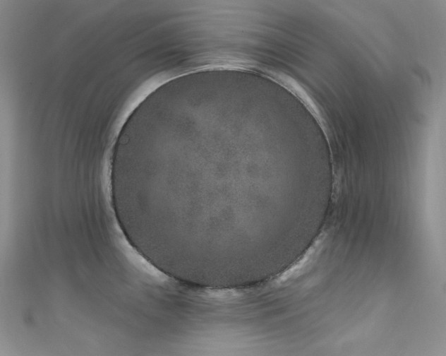 X0000111871243200907231506