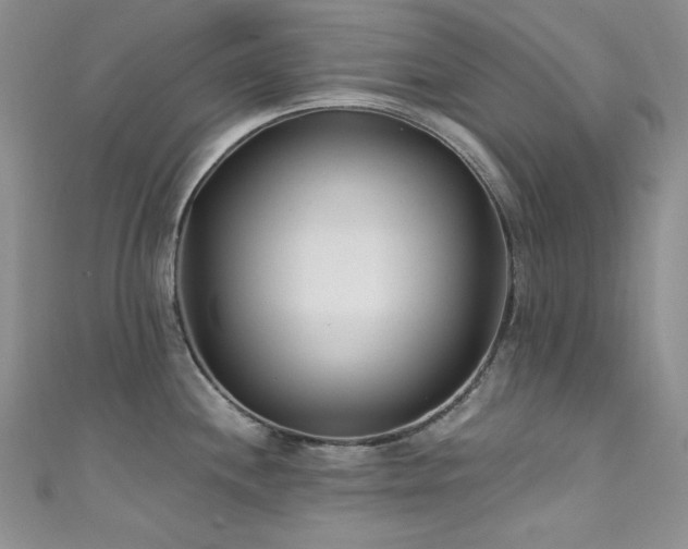 X0000111871244200907231506