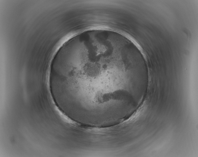 X0000111871245200907231506