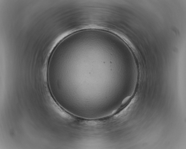 X0000111871246200907231506