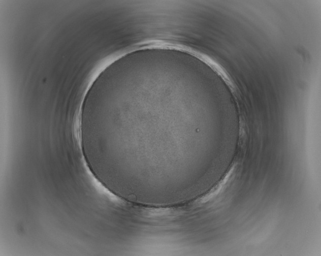 X0000111871247200907231506