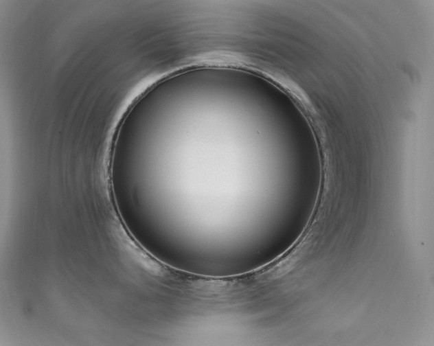 X0000111871248200907231506