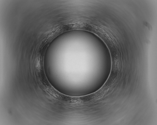 X0000111871250200907231506