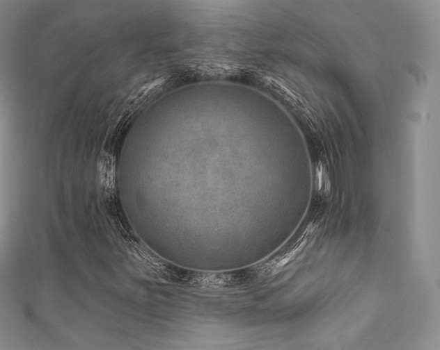 X0000111871251200907231506