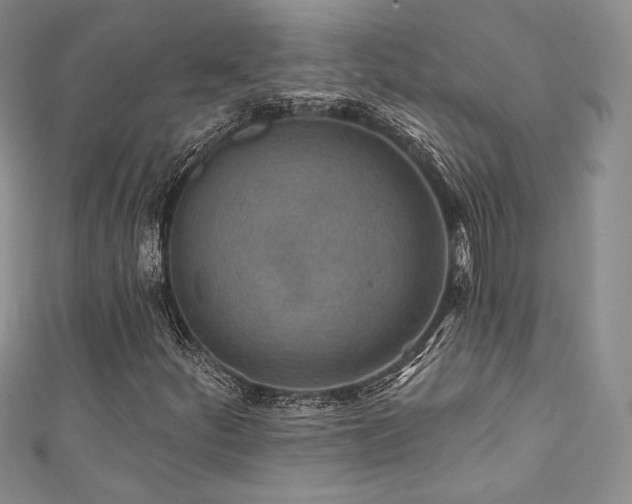X0000111871252200907231505