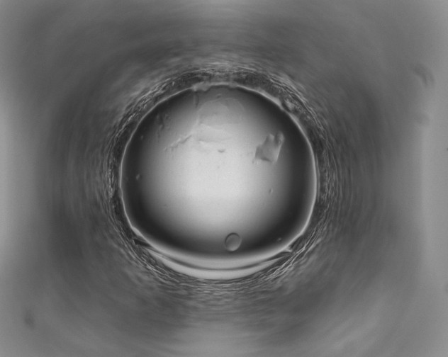 X0000111871253200907231505
