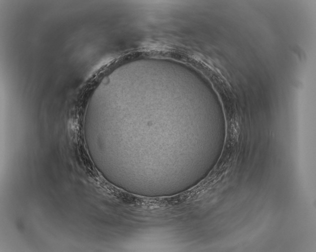 X0000111871254200907231505