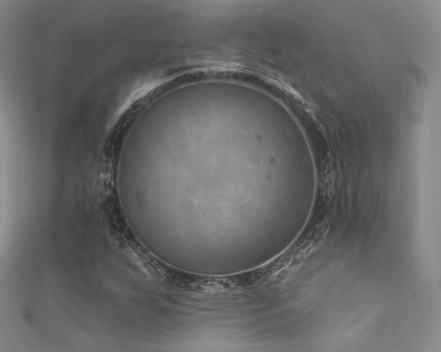 X0000111871255200907231505