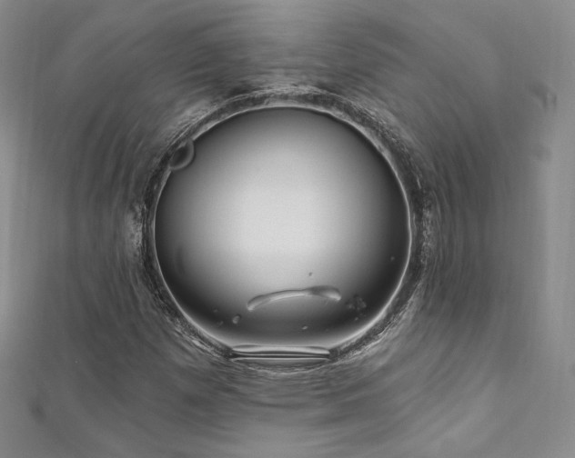 X0000111871257200907231505
