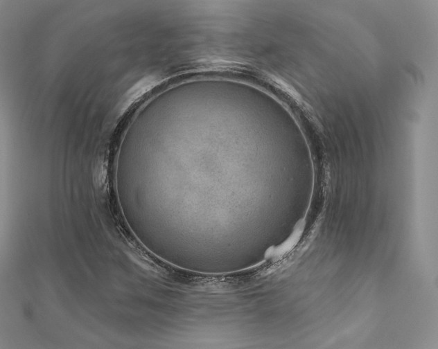 X0000111871259200907231505