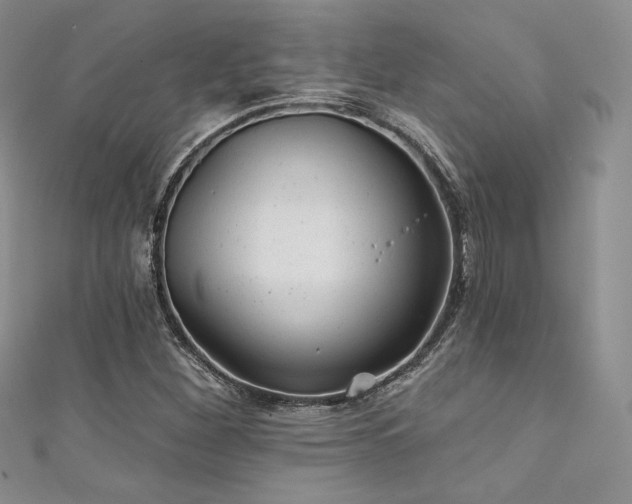 X0000111871260200907231505
