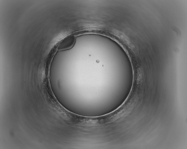 X0000111871261200907231505