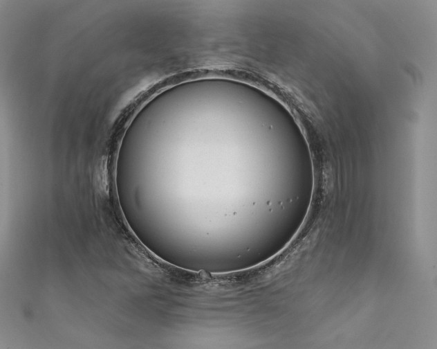 X0000111871262200907231505