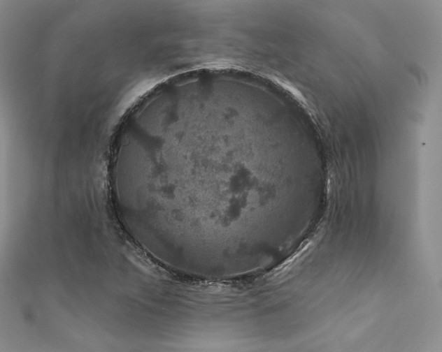 X0000111871263200907231505