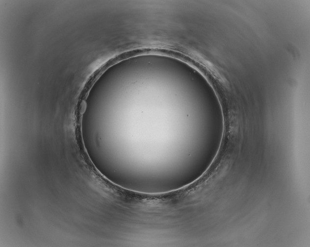 X0000111871264200907231505