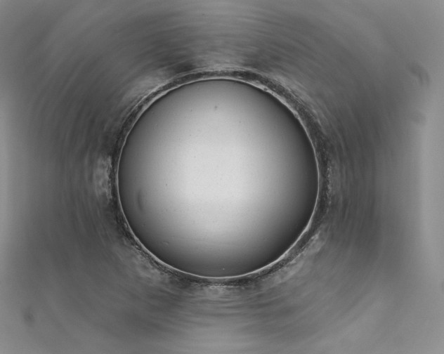 X0000111871265200907231505