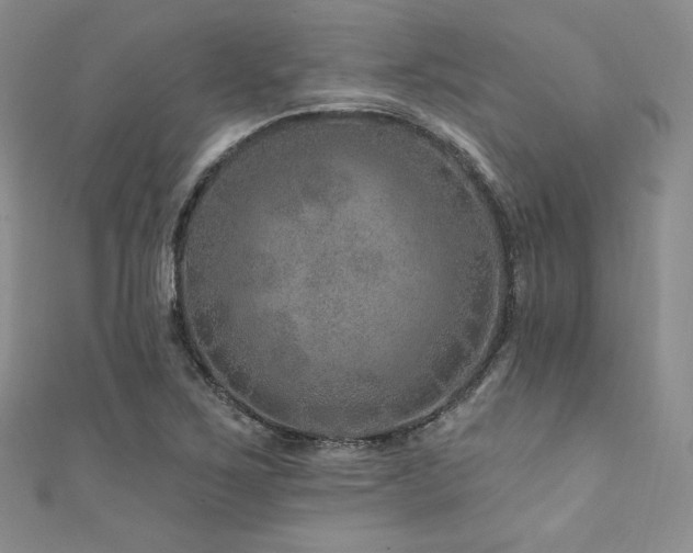 X0000111871267200907231505