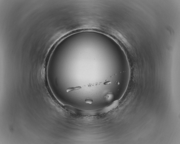 X0000111871268200907231505