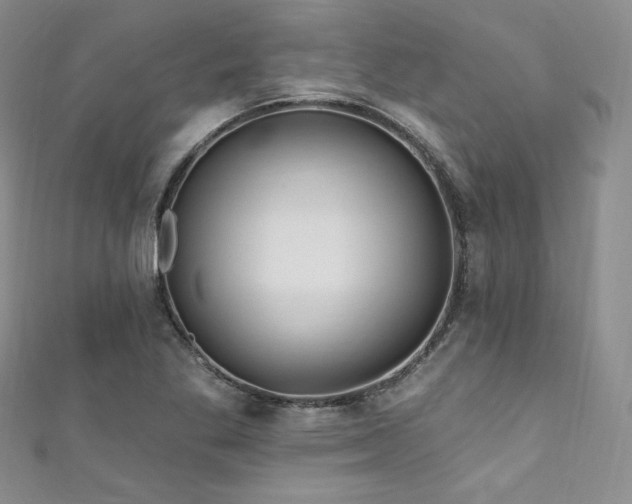 X0000111871269200907231505