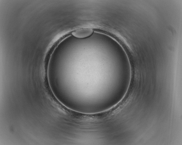 X0000111871270200907231505