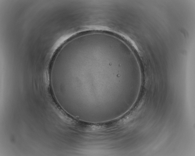 X0000111871271200907231505