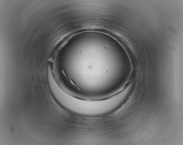 X0000111871273200907231505