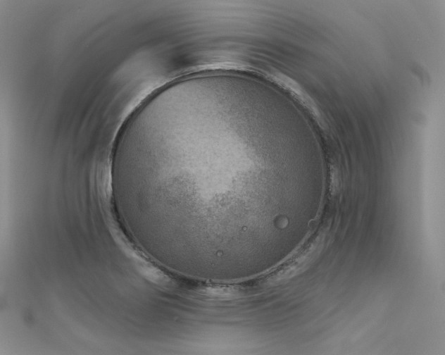 X0000111871274200907231505