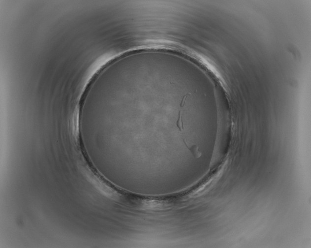 X0000111871275200907231505