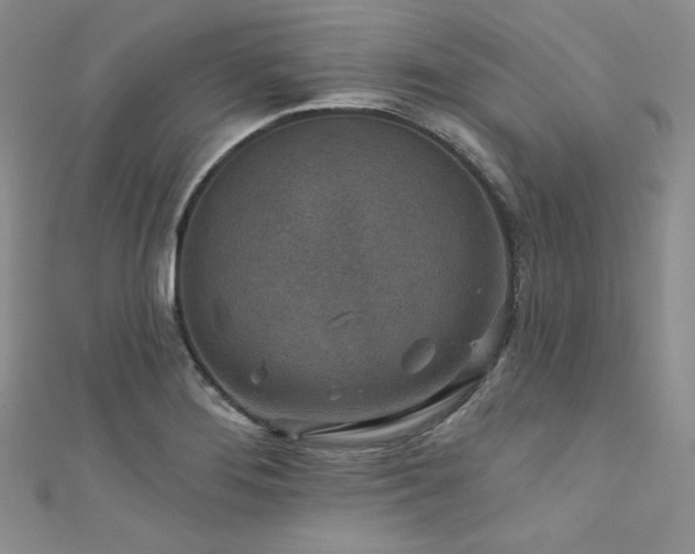 X0000111871276200907231505