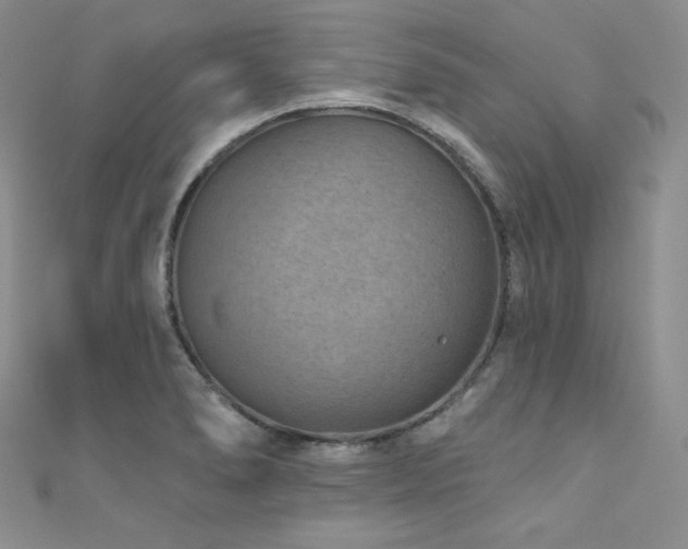 X0000111871278200907231505