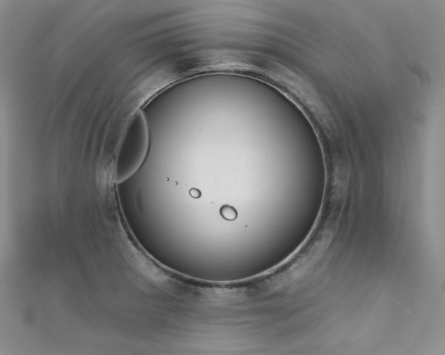 X0000111871281200907231505