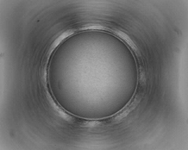 X0000111871282200907231505