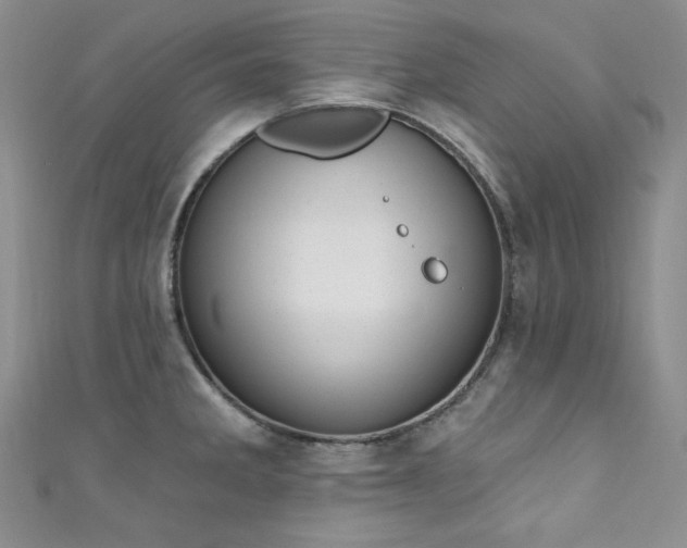 X0000111871285200907231505