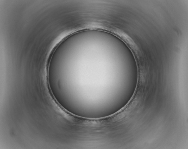 X0000111871286200907231505