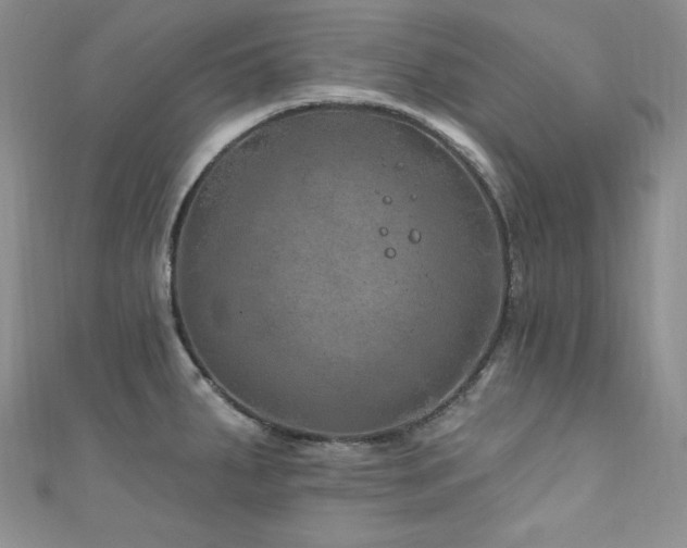 X0000111871287200907231505