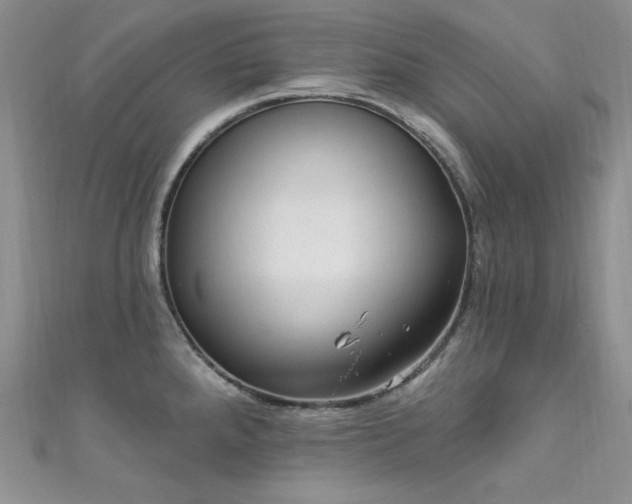 X0000111871288200907231505
