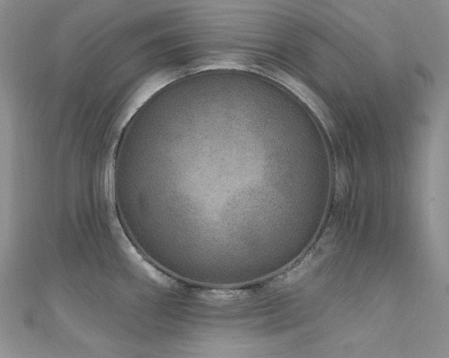 X0000111871290200907231505