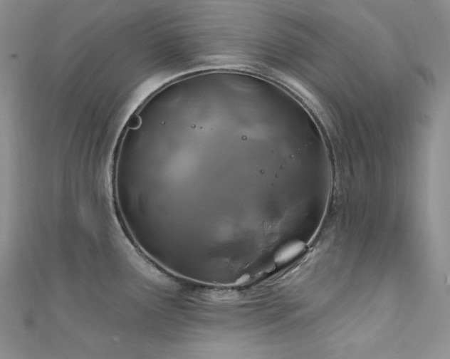 X0000111871291200907231505