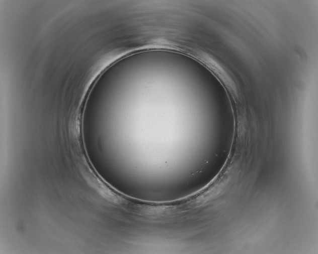 X0000111871292200907231505