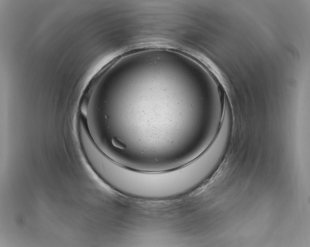 X0000111871293200907231505