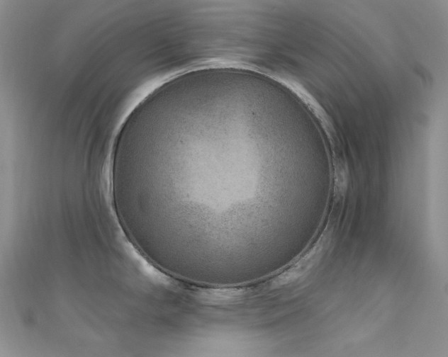 X0000111871294200907231505