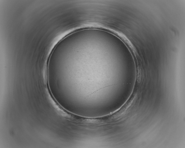 X0000111871295200907231505