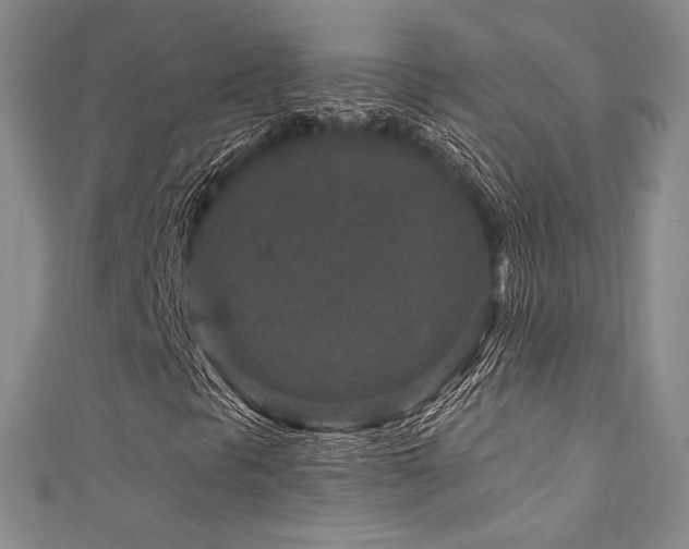 X0000111871297200907231504