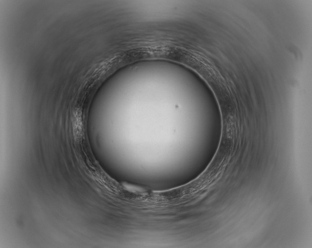 X0000111871298200907231504