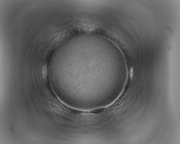 X0000111871299200907231504