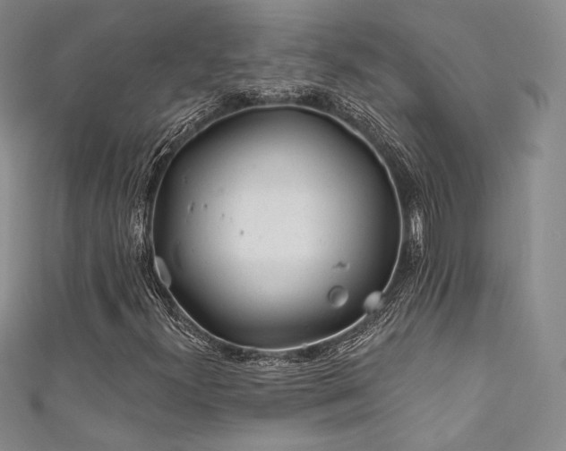 X0000111871300200907231504