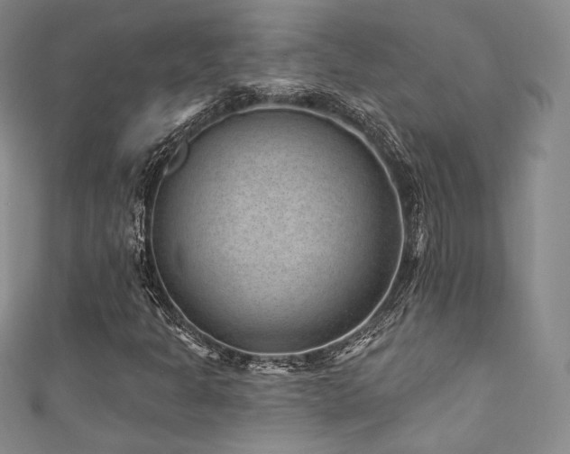 X0000111871301200907231504