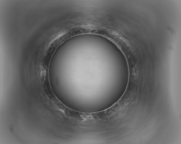 X0000111871302200907231504