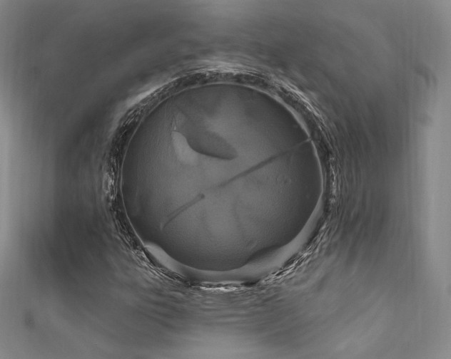 X0000111871303200907231504